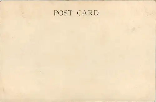 India - Naini Tal Boat Race -100378