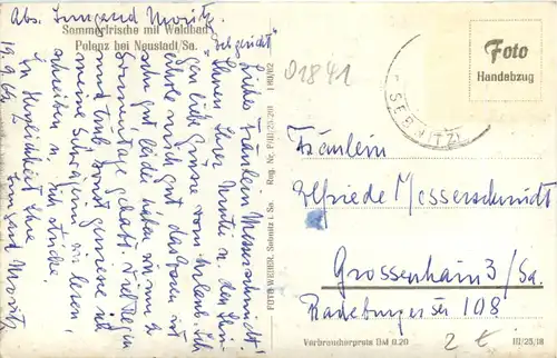 Polenz bei Neustadt/Sa., Waldbad -385624