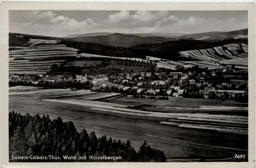 Tabarz, Kurort, Wald mit Hörselbergen -384534