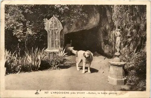 Vichy, LÁrdisiere pres Vichy, Sultan, fidele gardien -363796