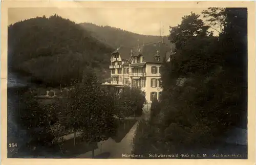 Hornberg - Schwarzwald - Schloss Hotel -100638