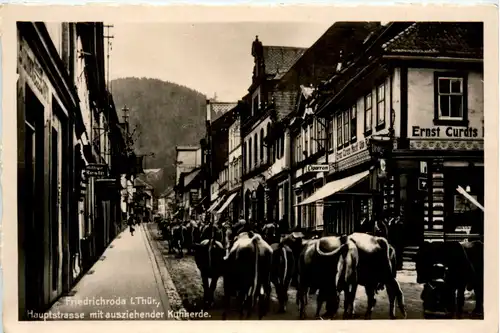 Friedrichroda, Hauptstrasse mit ausziehender Kuhherde -384272