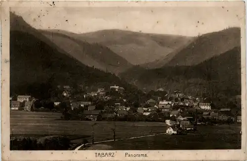 Tabarz, Kurort, Panorama -384530