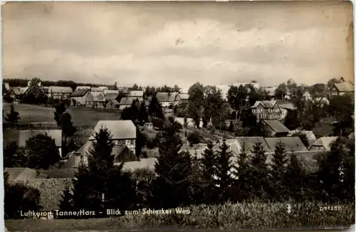 Kurort Tanne/Harz, Blick zum Schierker Weg -385080