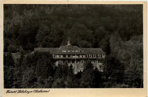 Kurort Sülzhayn -384610