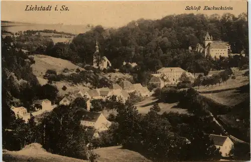 Liebstadt/Sa., mit Schloss Kuckuckstein, -384670