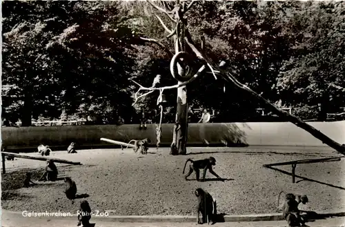 Gelsenkirchen, Ruhr-Zoo -385884