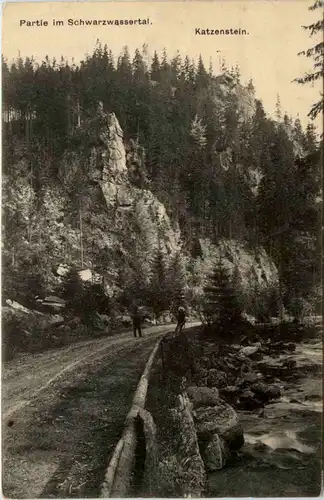 Partie im Schwarzwassertal -385240