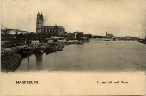 Magdeburg, Elbansicht mit Dom -384790