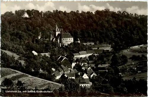 Liebstadt/Sa., mit Schloss Kuckuckstein -384658