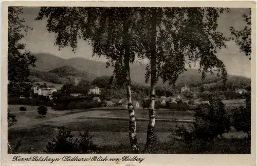 Kurort Sülzhayn, Blick vom Heidberg -384602
