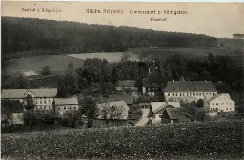 Cunnersdorf b. Königstein, Forsthof -384698