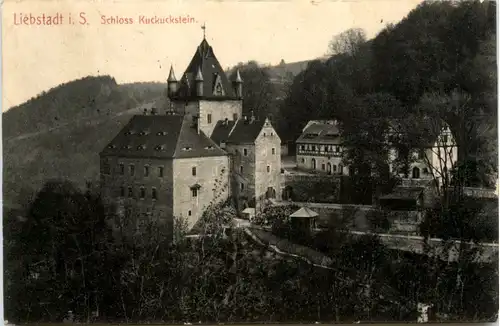 Liebstadt/Sa., mit Schloss Kuckuckstein -384662