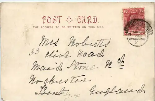 Mowbray - Field of Arum Lilies -101058