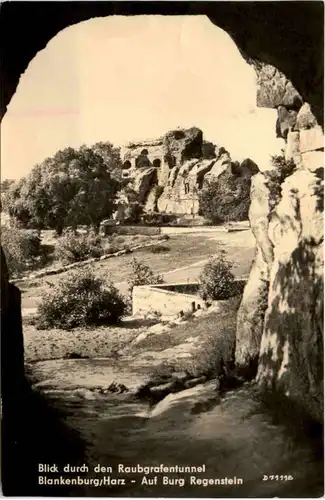 Blankenburg, Blick durch den Raubgrafentunnel auf Burg Regenstein -384970