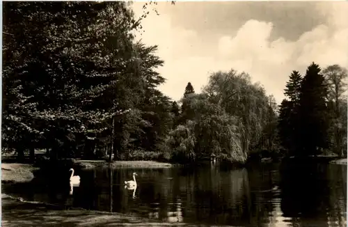 Bad Liebenstein, Elisabeth-Park mit Schwänen -384990