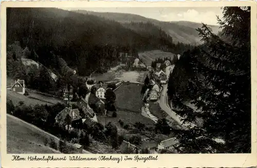 Kurort Wildemann Oberharz, im Spiegeltal -384818