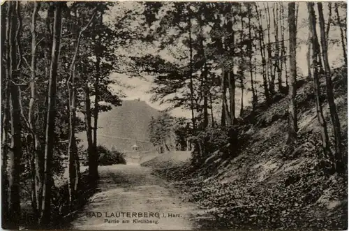 Bad Lauterberg, Partie am Kirchberg -385010