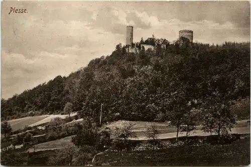 Plesse bei Göttingen -385050