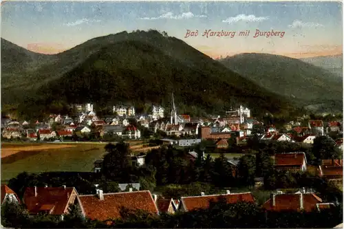 Bad Harzburg, mit Burgberg -384898