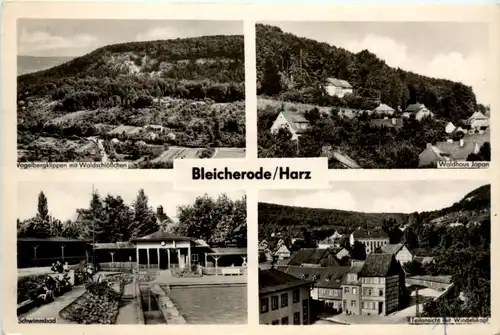Bleicherode/Harz, div. Bilder -384616