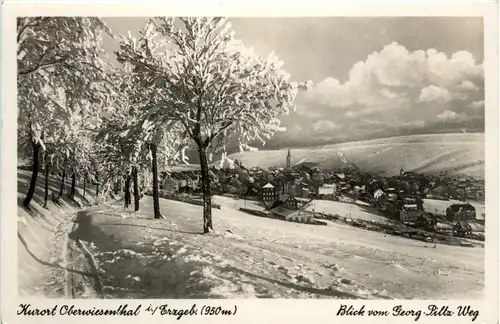 Oberwiesenthal, Blick vom Georg-Piltz-Weg -385270