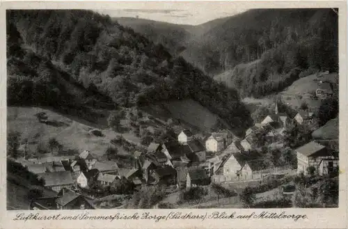 Kurort Zorge, Blick auf Mittelzorge -385062