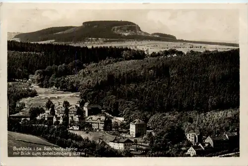 Buchholz, Bahnhofs-Partie mit Blick zum Scheibenberg -385414