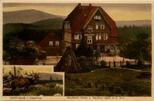 Bad Harzburg, Wulferts Hotel Torfhaus i. Harz -385980