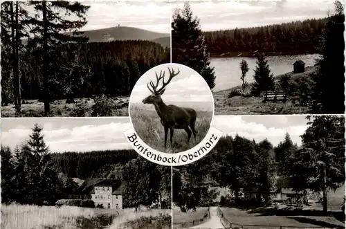 Buntenbock Oberharz -386114