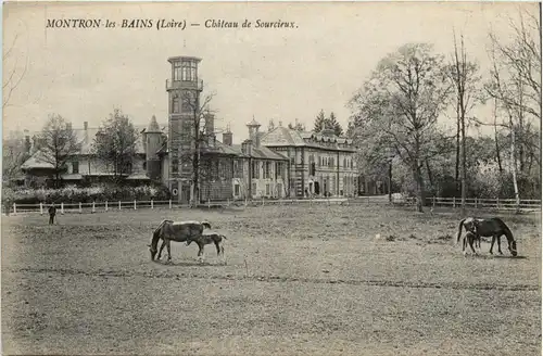 Montron les Bains, Chateau de Sourciex -365276