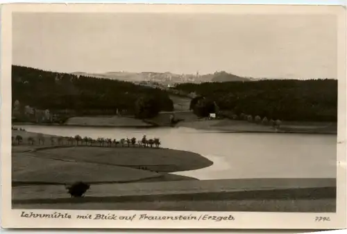 Lehnmühle mit Blick auf Frauenstein -387392