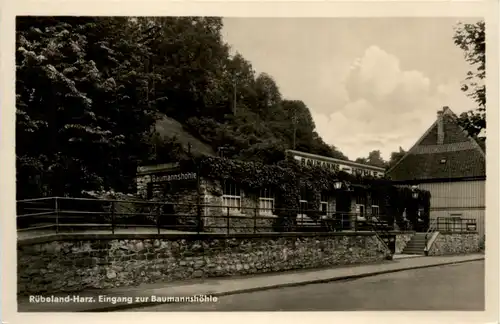 Rübeland Harz, Eingang zur Baumannshöhle -386042