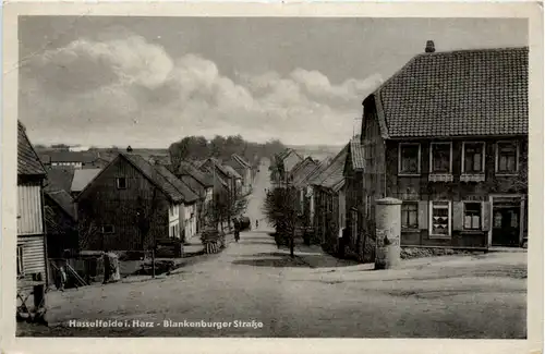 Hasselfelde i. Harz, Blankenburgerstrasse -386820