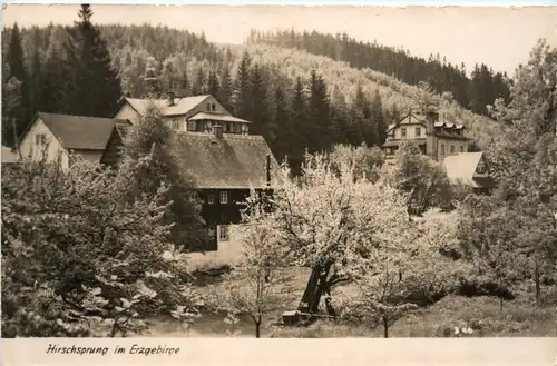 Hirschsprung bei Altenberg i.Erzgeb. -387636