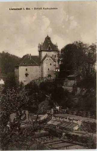 Liebstadt/Sa., mit Schloss Kuckuckstein, -384672