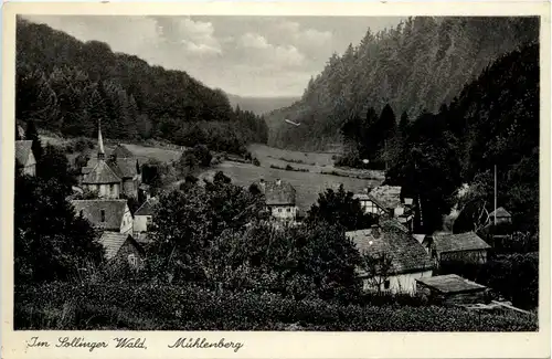 Im Sollinger Wald, Mühlenberg -384872