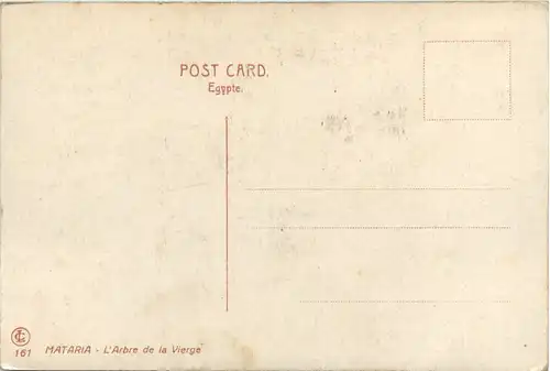 Mataria - The Virgins Tree - Egypt -97448