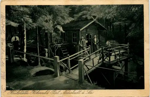 Heilstätte Hohwald, Neustadt i. Sa. -386578