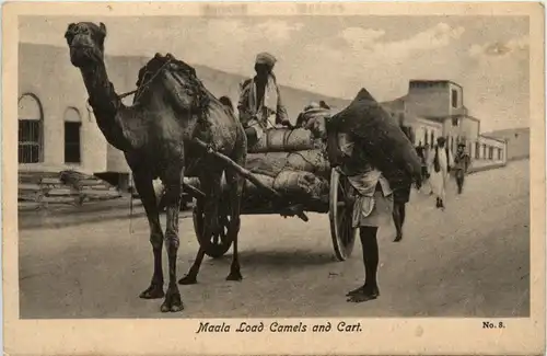 Maala Load Camels and Cart - Aden -97684