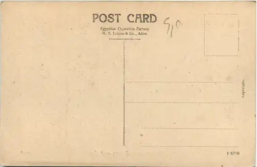 Maala Load Camels and Cart - Aden -97684