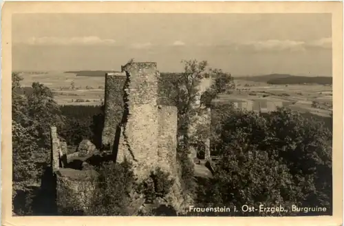 Frauenstein i. Erzgeb. Burgruine -388128