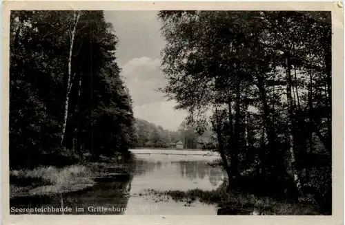 Seerenteichbaude im Tharandter Wald -387420