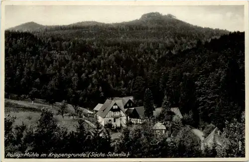 Röllig Mühle im Krippengrund -385612