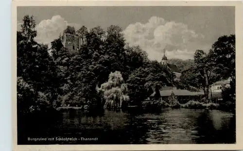 Tharandt, Burgruine mit Schlossteich -387434