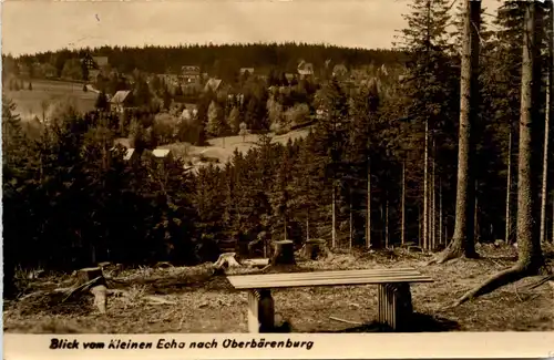 Oberbärenburg, Blick vom Kleinen Echo -387570