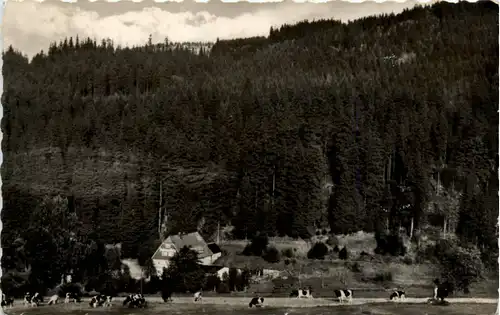 Schmiedeberg, Blick auf die HO-Gaststätte Putzmühle i. oberen Pöbeltal -387246