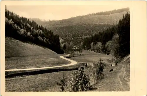 Schönbrunn, Thür. Wald, im schönen Tannengrund -387878