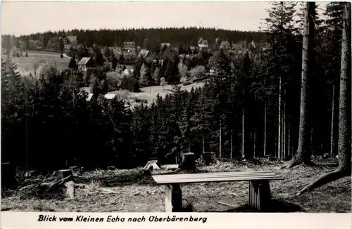 Blick vom Kleinen Echo nach Oberbärenburg -387634