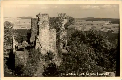 Frauenstein i. Erzgeb., Burgruine -388044